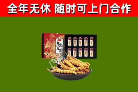 柯桥区烟酒回收冬虫夏草礼盒.jpg